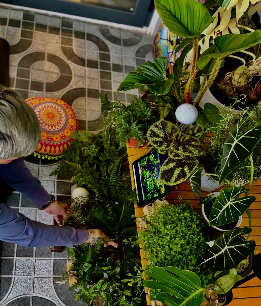 URBAN JUNGLE -SCARY CATS BOTANICAL STYLE -